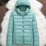 North - Waterproof Jacket