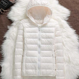 North - Waterproof Jacket