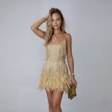 Fringe and Feather Embellished Spaghetti Strap Mini Party Dress